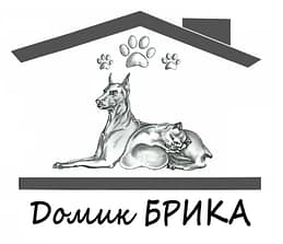 Фонд "Домик Брика"
